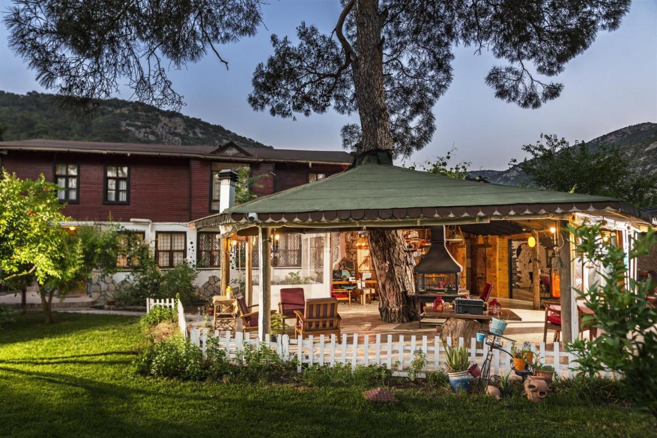 Koala Bungalows Olympos Exteriör bild