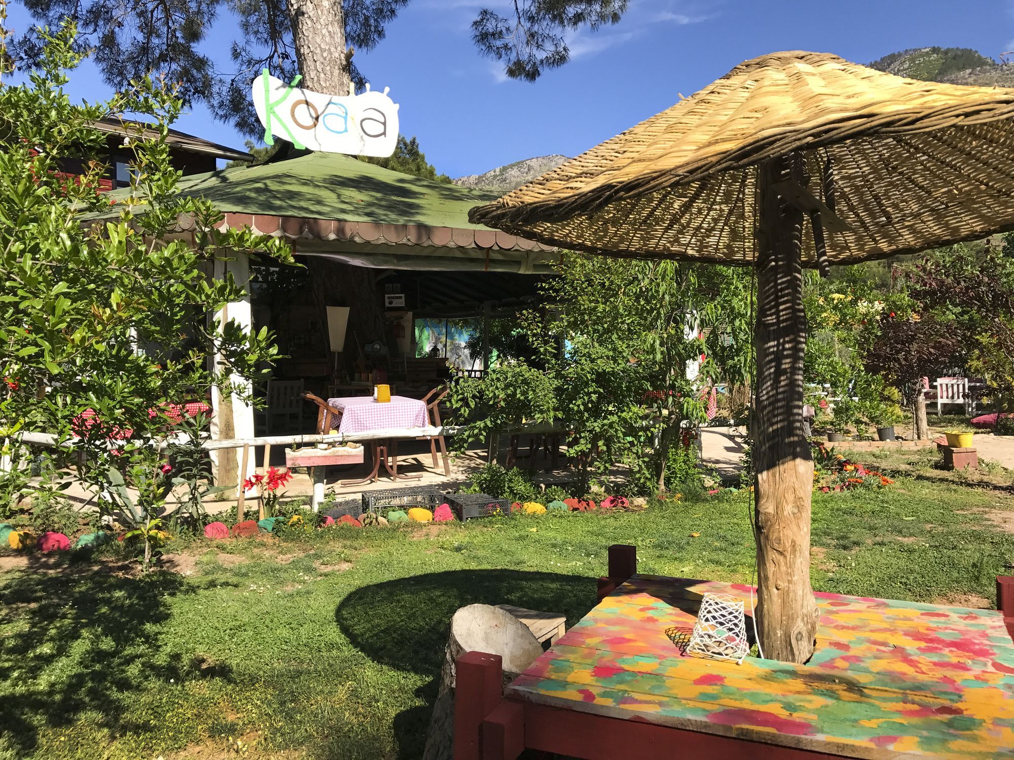 Koala Bungalows Olympos Exteriör bild